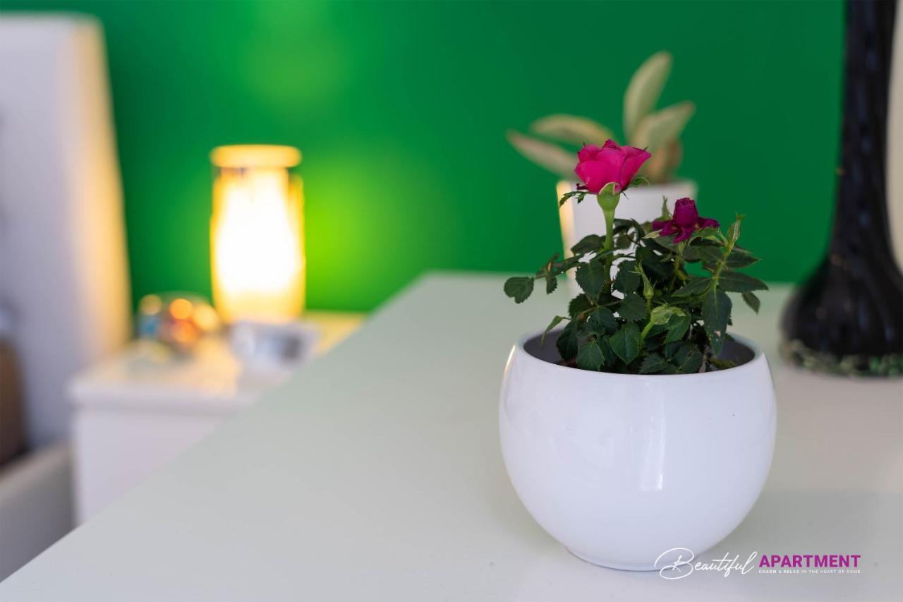 Beautiful Apartment In St Peter روما المظهر الخارجي الصورة